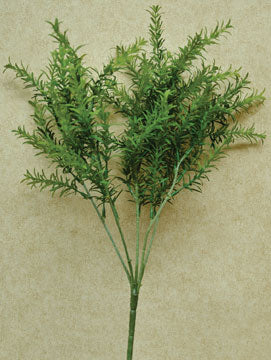 Rosemary Bush (Pack of 4)
