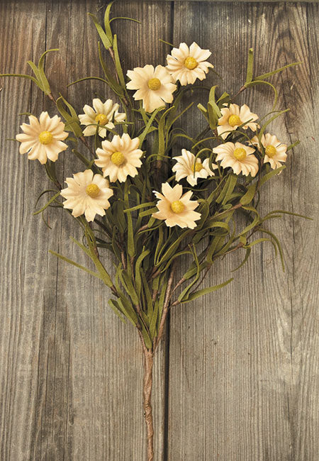 Tea Stained Daisy Pick (Pack of 4)