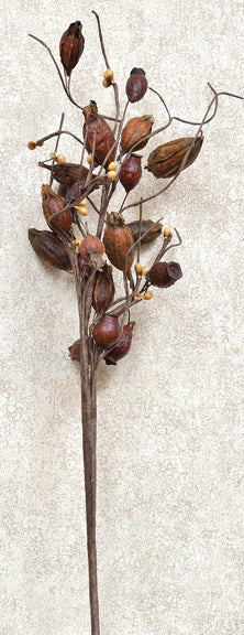 Dried Rose Hip Pick (Pack of 4)