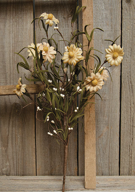 Teastain Daisy & Pip Pick 16