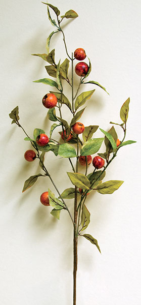 Crab Apple Branch 30