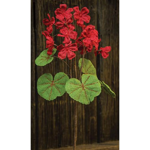 Red Burlap Geranium Bush  (Pack of 4)