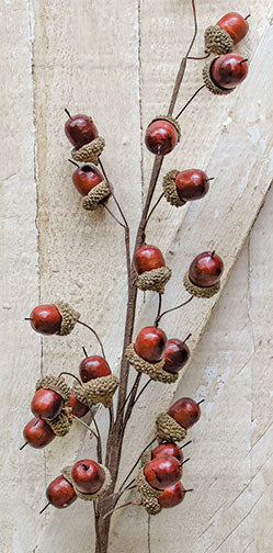 Acorn Spray - 27