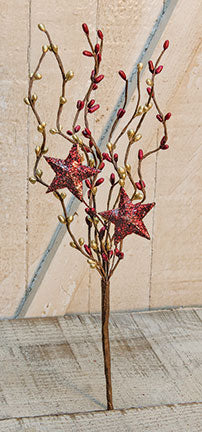 B&G Holiday Stars Pip Pick  (Pack of 4)