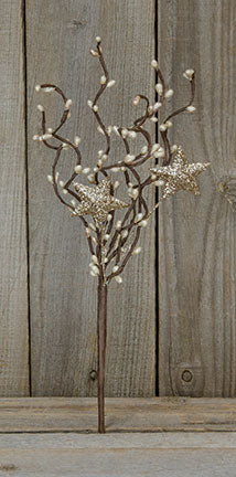 Platinum Pip & Stars Pick (Pack of 4)