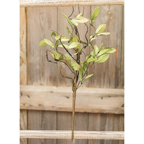 Sage Leaves & Twigs Pick 16