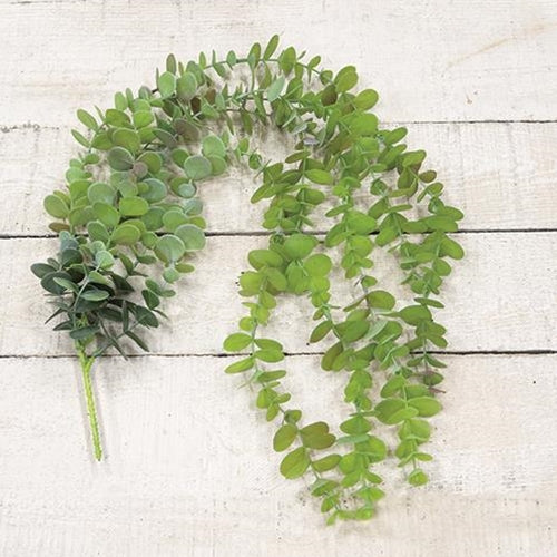 Eucalyptus Hanging Garland (Pack of 4)