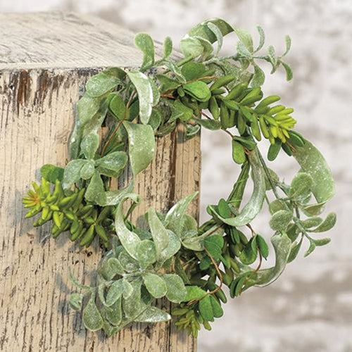 Succulent Garden Ring 3.5