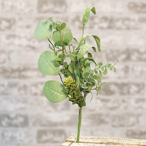 Succulent Garden Pick 14