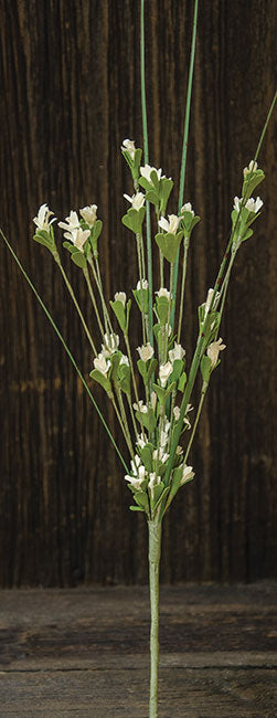 Wild Blossom Pick - Cream (Pack of 4)