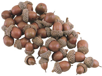 Acorns 40/Pkg. (Pack of 2)