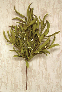 Herb Bush (Pack of 2)