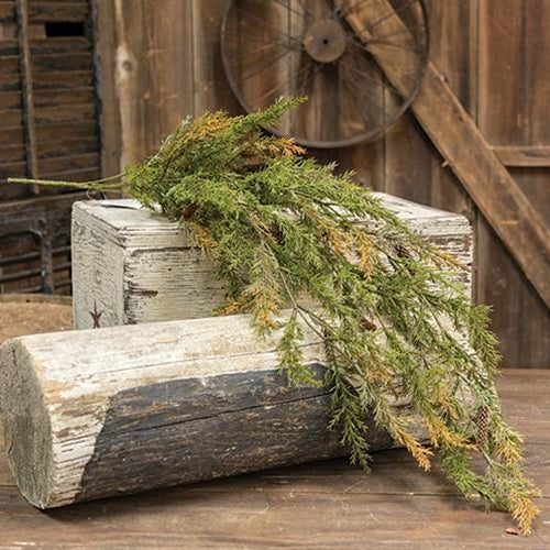 Prickly Pine Hanging Bush Moss Green 33