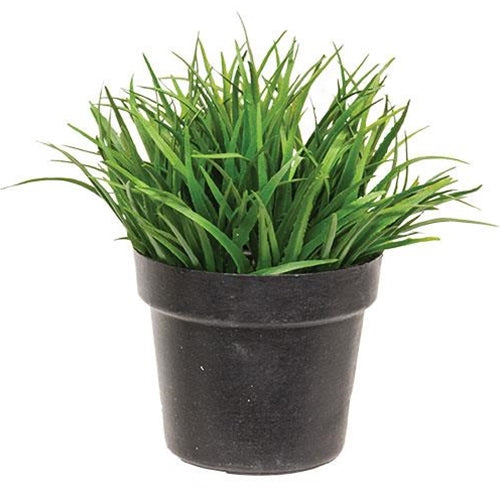 Greenpoint Pot # 1 (Pack of 4)