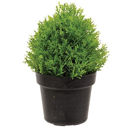 Greenpoint Pot # 2 (Pack of 4)