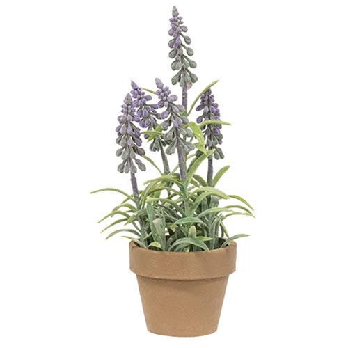 Potted Mountain Bells Purple (Pack of 4)
