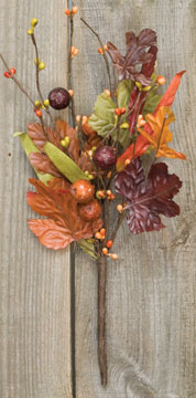 Maple & Berries Pick 12