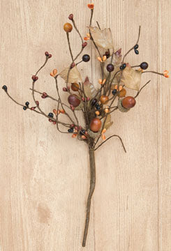 Country Mix Acorn Pick - 14