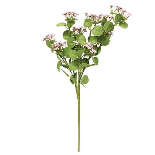Queen Ann's Lace Spray Pink (Pack of 2)