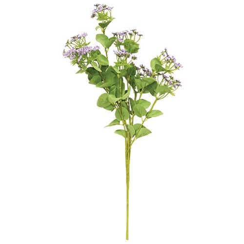 Queen Ann's Lace Spray Purple (Pack of 2)