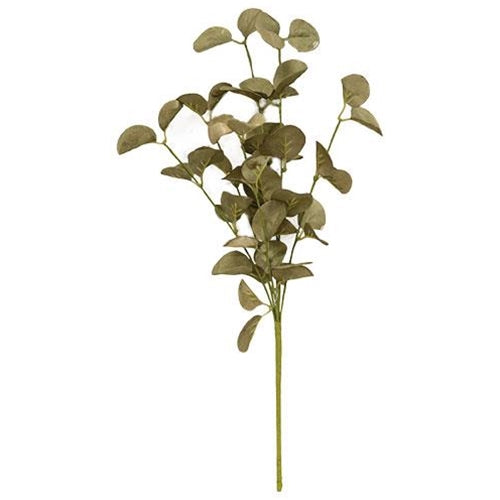Foamy Silver Dollar Spray Sage (Pack of 4)