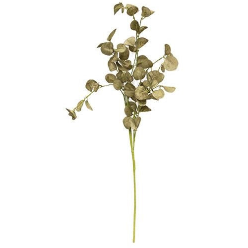 Foamy Silver Dollar Pick Sage 16