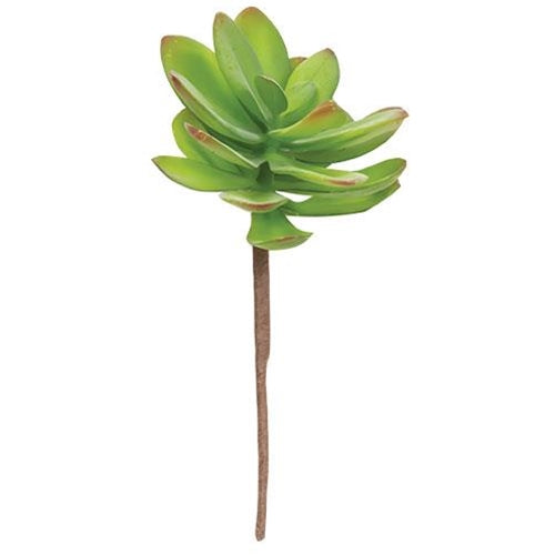 Torch Succulent Pick (Pack of 4)