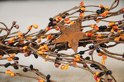 Pip Berry Garland With Stars Primitive Mix 40