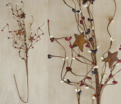 Country Mix Pip & Star Spray 24