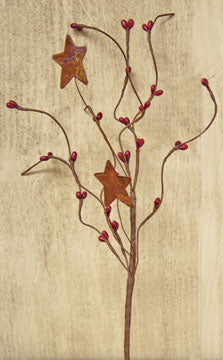 Burgundy Pip & Star Pick 12