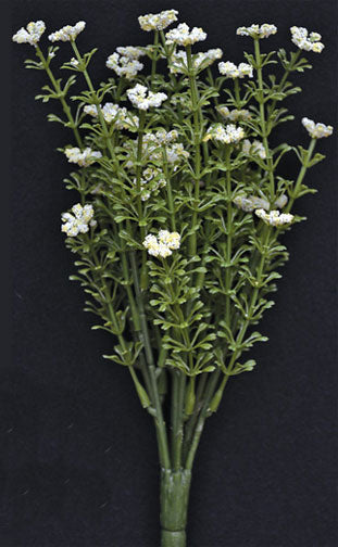 White Astilbe Bush 10-1/2