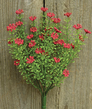 Red Astilbe Bush 10-1/2