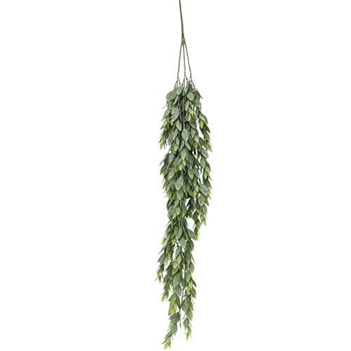 '+Rainwashed Leaves Hanging Bush 33