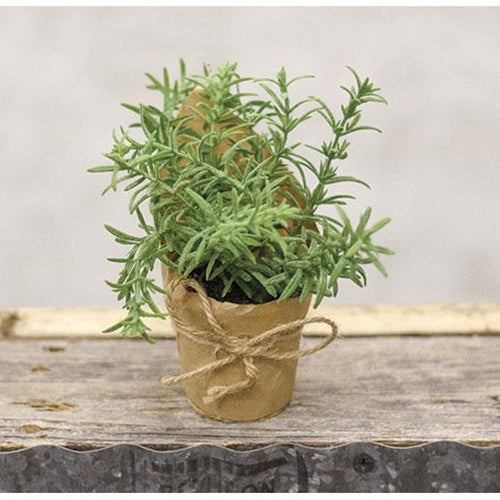 Paper Pot Springerri 6