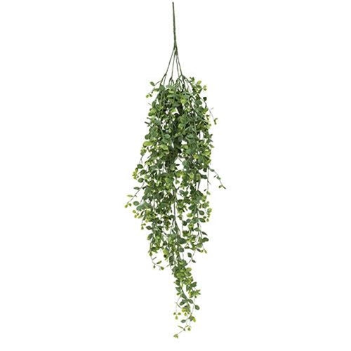 Seraph Vine Hanging Bush 34