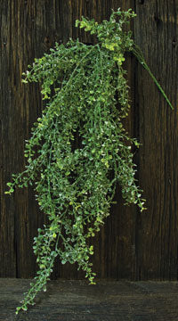 Snowy Hanging Baby's Grass (Pack of 2)