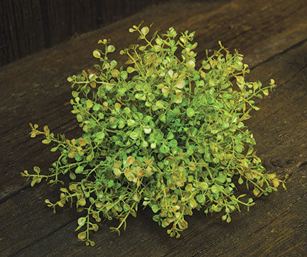 Baby's Grass Table Piece (Pack of 4)