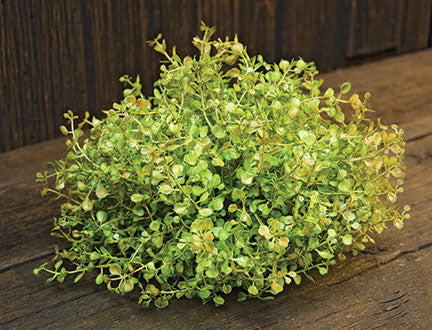 Baby's Grass Table Piece 7