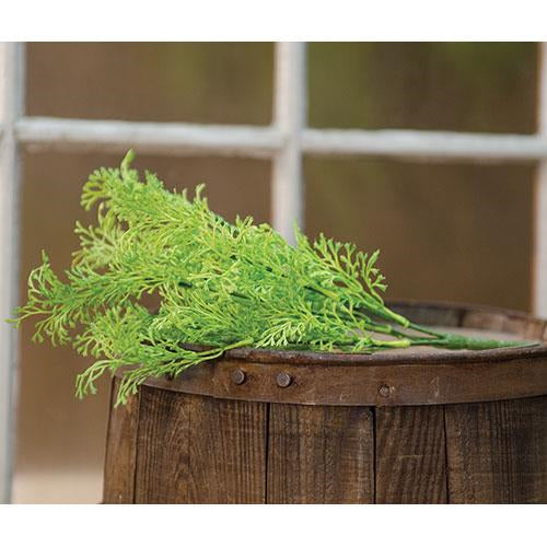 Coral Fern Pick 12