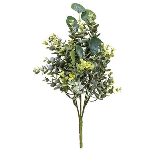 Enclave Eucalyptus Bush 15.5