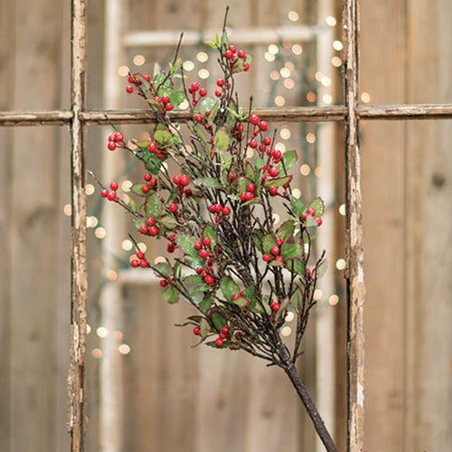 Holly & Berry Bush 22