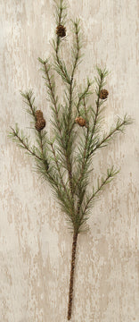 Cypress Pine Spray  (Pack of 4)
