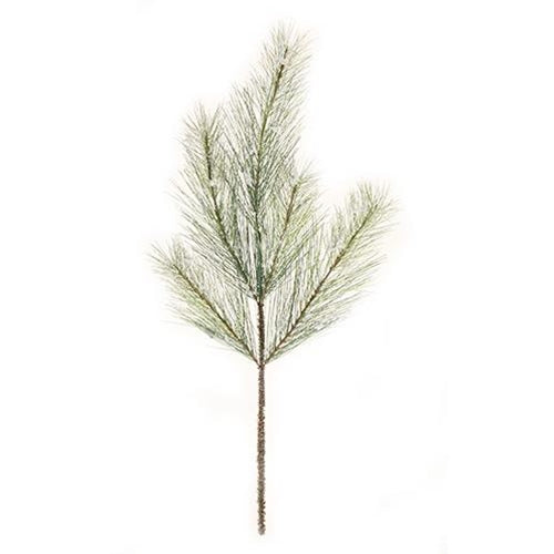 Snowy Silver Fir Spray 24