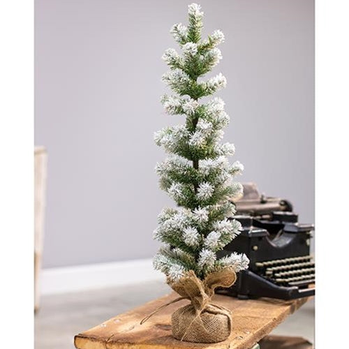 Snow Tipped Pine Tree 24