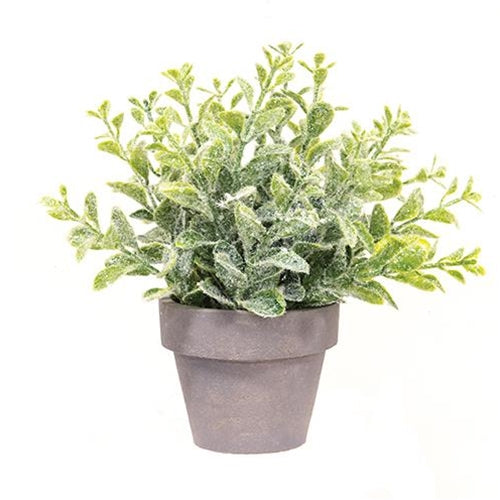 Icy Gatehouse Pot #2 7