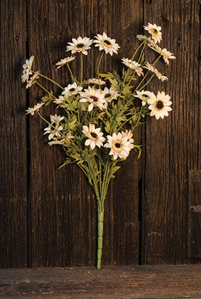 Cream Sunflower Bush  25