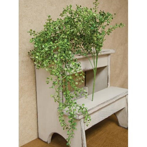 Hanging Baby's Grass Bush (Pack of 2)