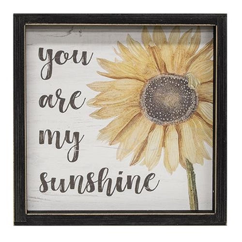 You Are My Sunshine Frame