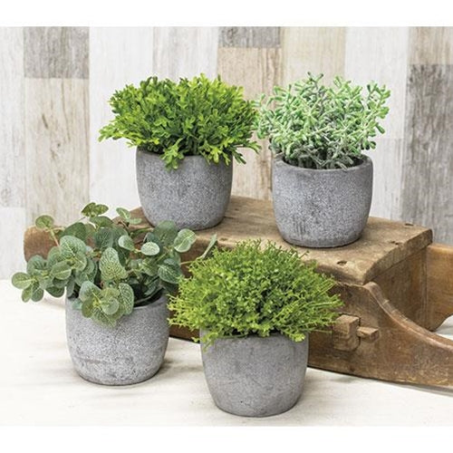Potted Artificial Greenery 4 Asstd. (Pack of 2)