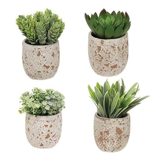 '+Artificial Succulent in Distressed Cement Pot 4 Asstd. (Pack of 4)